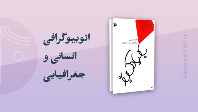 نقد کتاب بادبادک‌باز